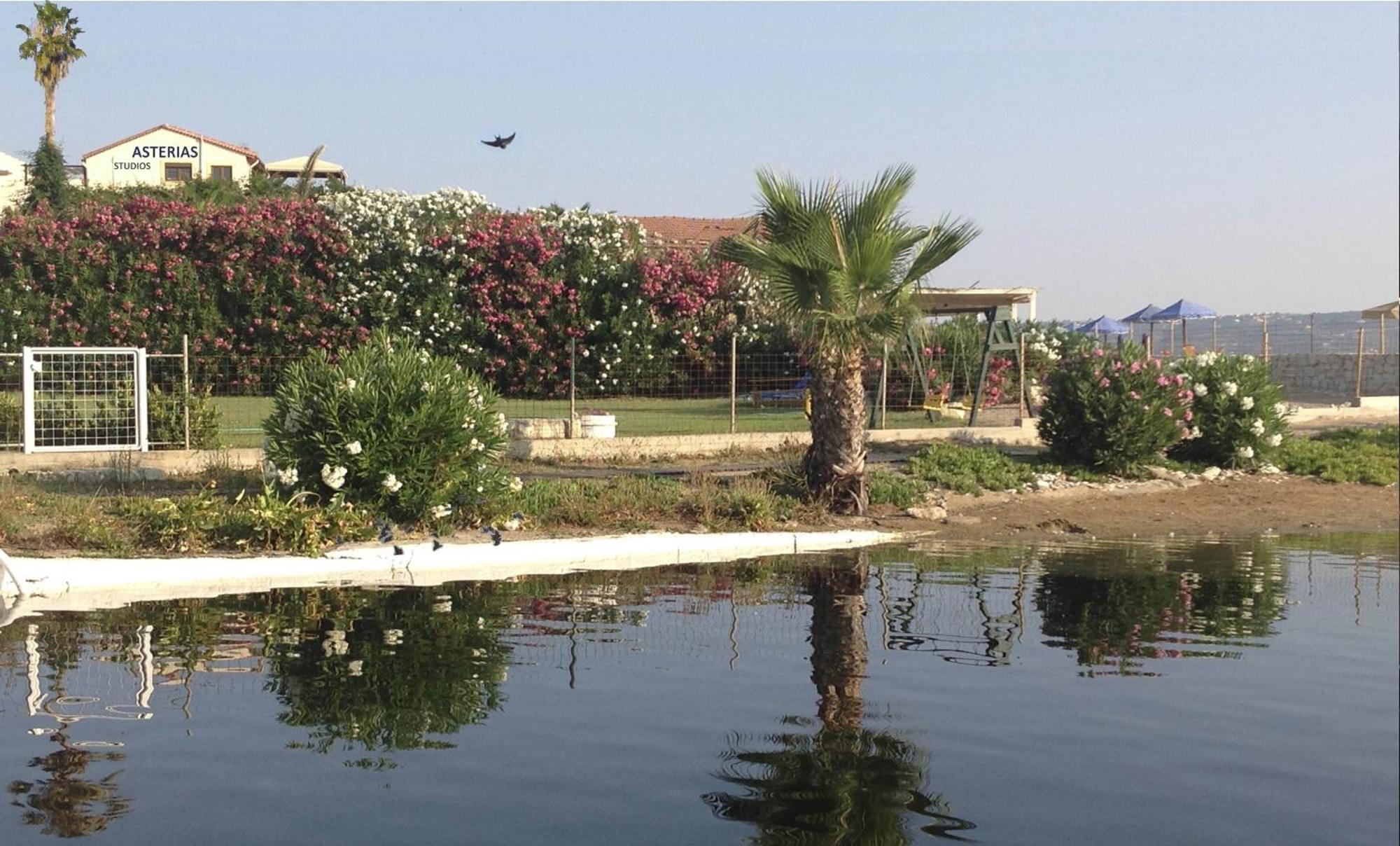 Asterias Studios & Apartments Καλύβες Εξωτερικό φωτογραφία